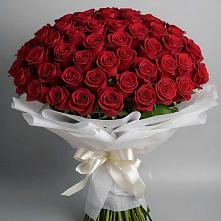 Букет 101 Красная роза Блэк Мэджик #REPLACE_PRED# Круглолесском